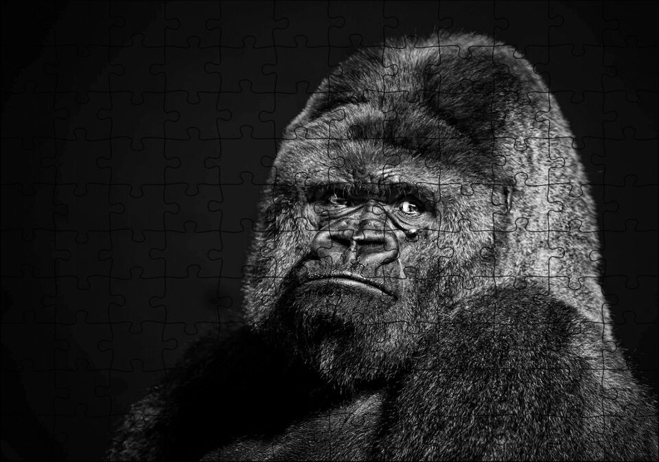 Siyah Goril Görseli Puzzle Yapboz MDF Ahşap