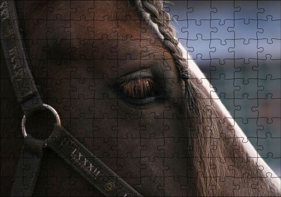 Yelesi Örülü Kahverengi At Yakın Çekim Puzzle Yapboz MDF Ahşap 120 Parça 24 cm X 34 cm