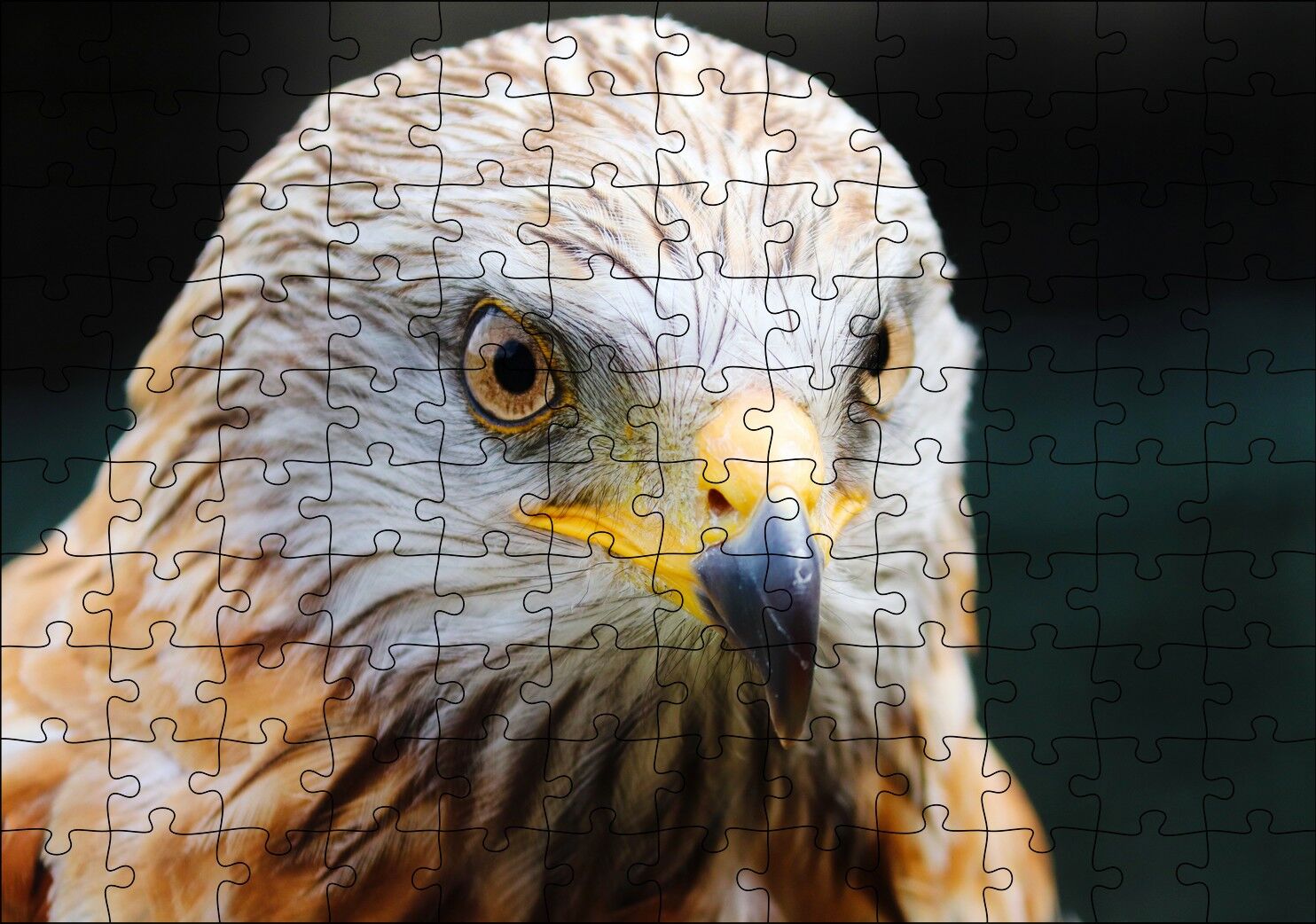 Şahin Keskin Gözler Yakın Çekim Puzzle Yapboz MDF Ahşap 120 Parça 24 cm X 34 cm