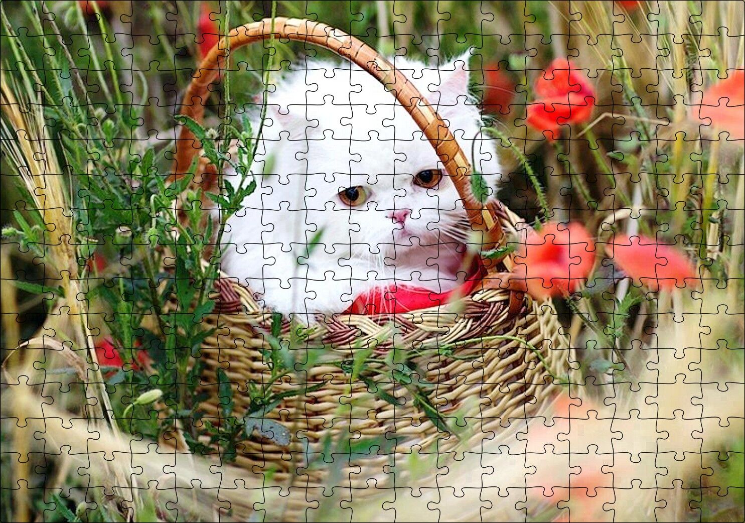 Beyaz Kedi Sepet İçinde Doğada Puzzle Yapboz MDF Ahşap 255 Parça 34 cm X 49 cm