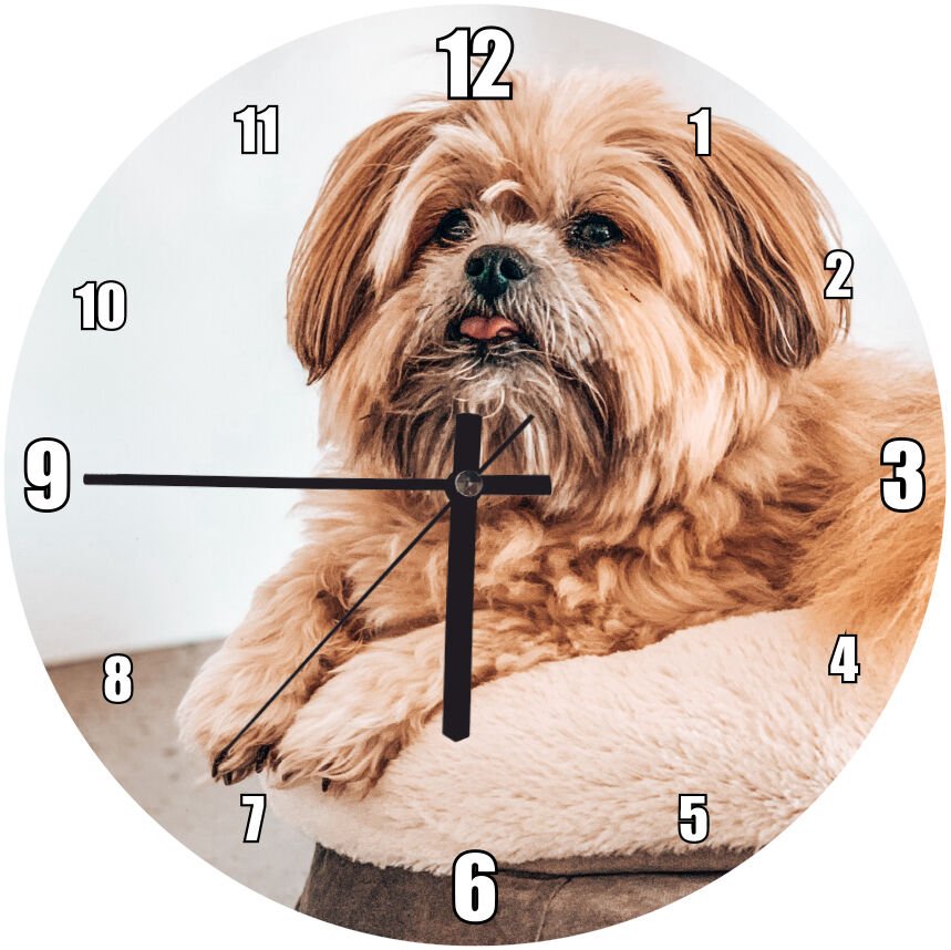 Küçük Sevimli Kahverengi Köpekçik Mdf Ahşap Duvar Saati 30 cm Çap