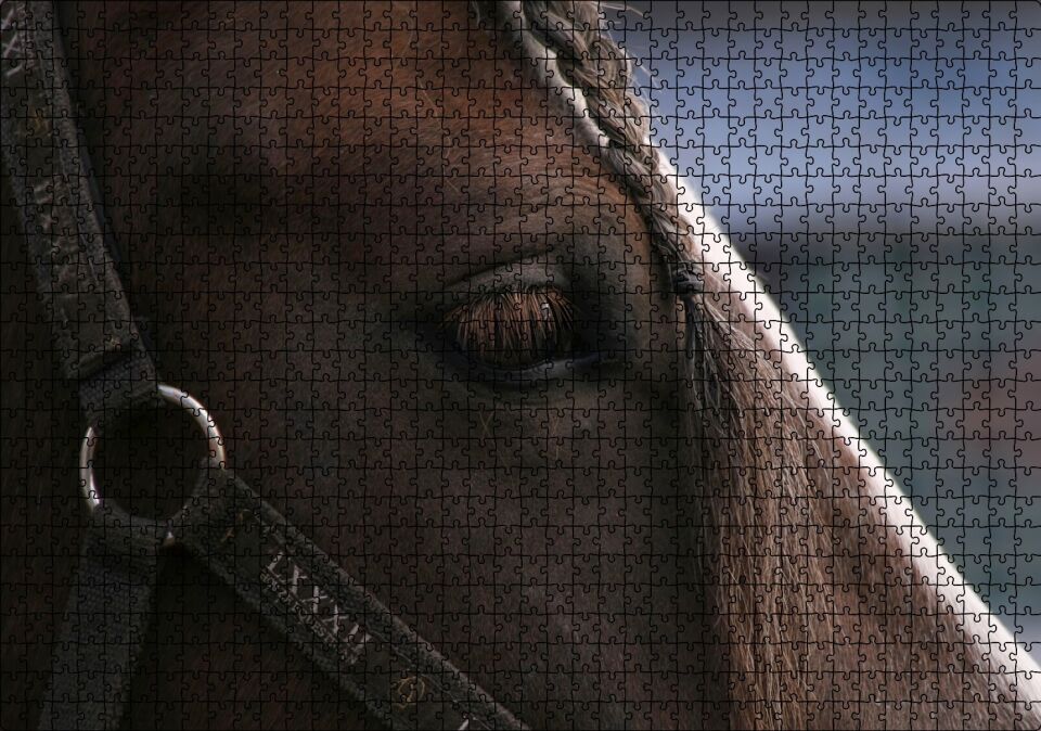 Yelesi Örülü Kahverengi At Yakın Çekim Puzzle Yapboz MDF Ahşap 1000 Parça 49 cm X 68 cm