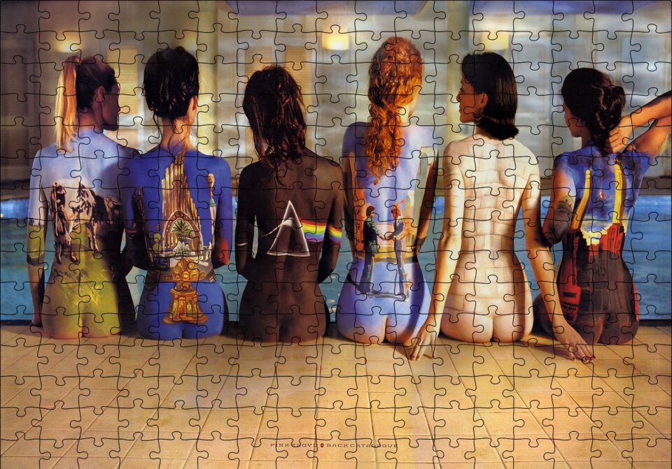Tuval Kadınlar Puzzle Yapboz MDF Ahşap 255 Parça 34 cm X 49 cm