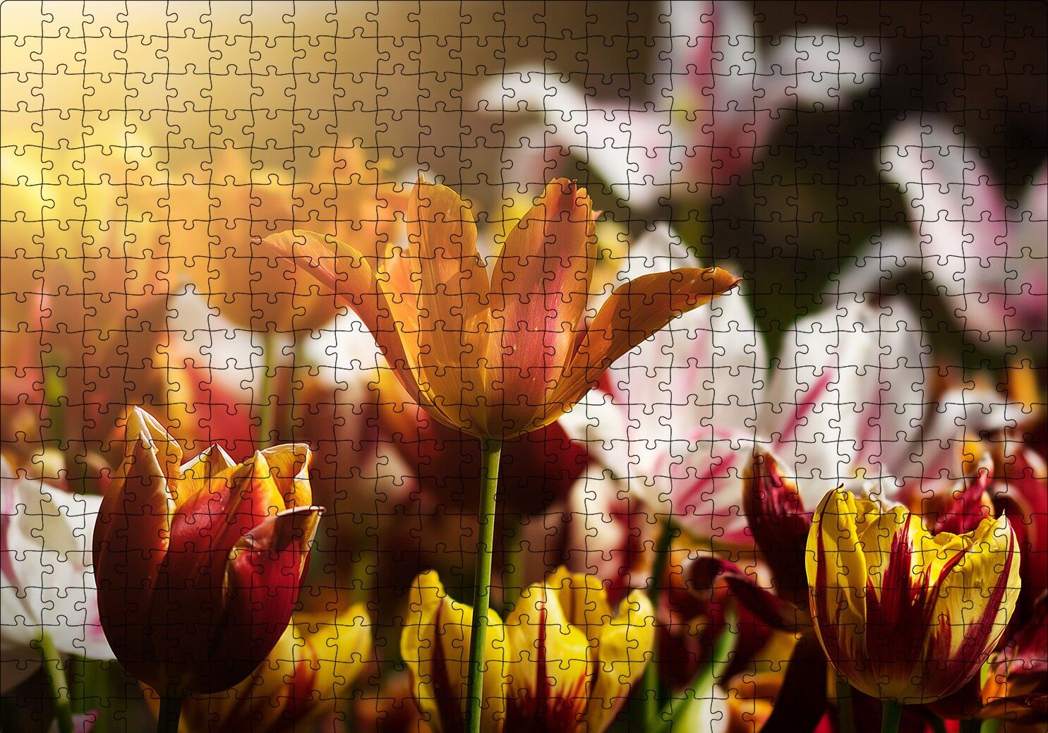 Laleler ve Güneş Işıkları Puzzle Yapboz MDF Ahşap 500 Parça 49 cm X 68 cm