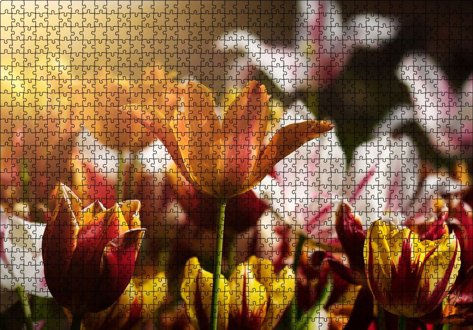 Laleler ve Güneş Işıkları Puzzle Yapboz MDF Ahşap 1000 Parça 49 cm X 68 cm