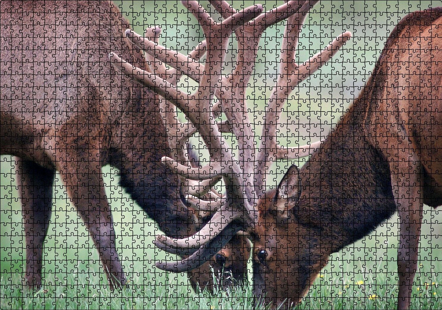 Yeşil Çayırda Otlayan Boynuzlu Geyikler Puzzle Yapboz MDF Ahşap 1000 Parça 49 cm X 68 cm