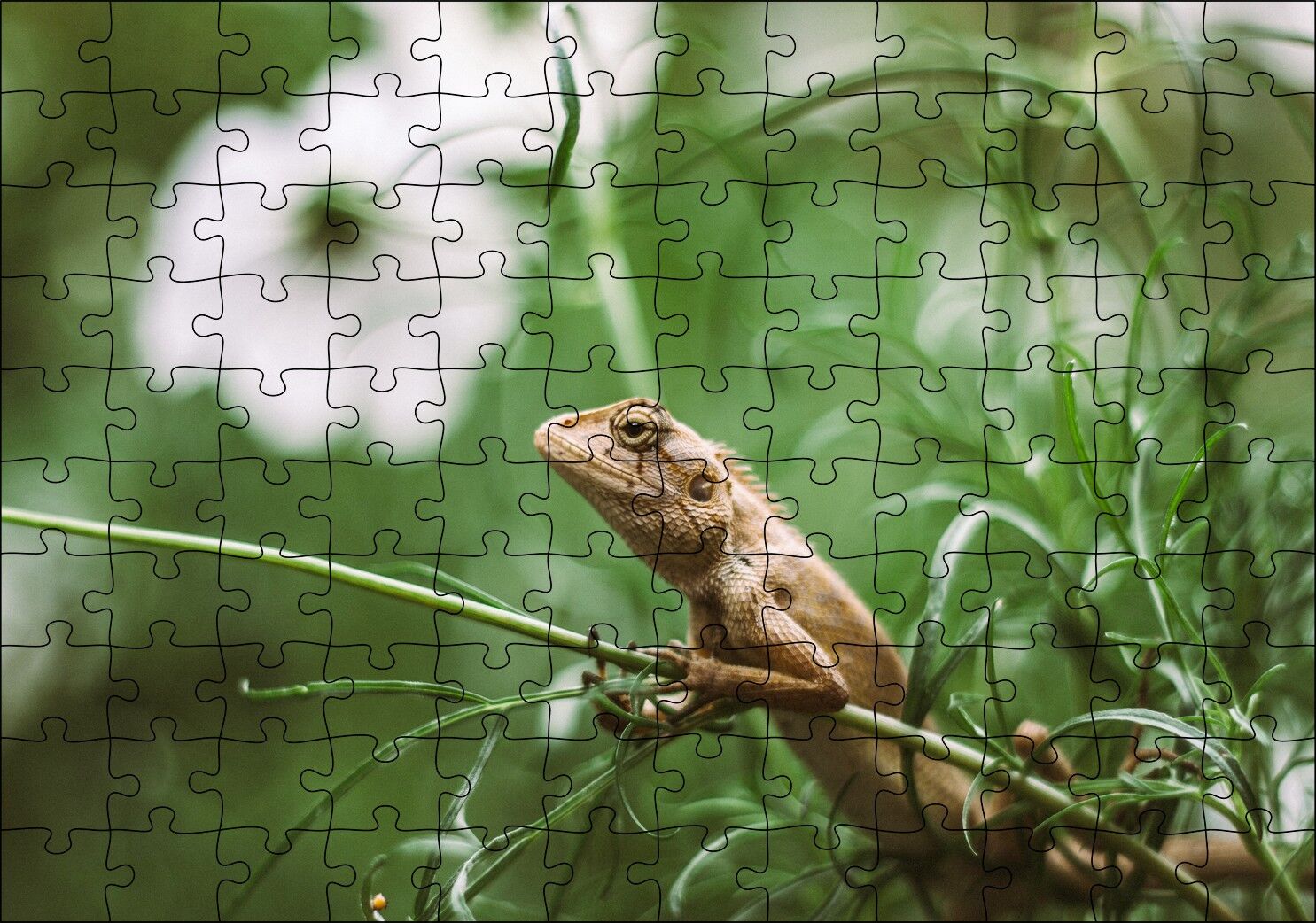 Yeşil Dallar Arasındaki İguana Flu Arka Plan Puzzle Yapboz MDF Ahşap 120 Parça 24 cm X 34 cm