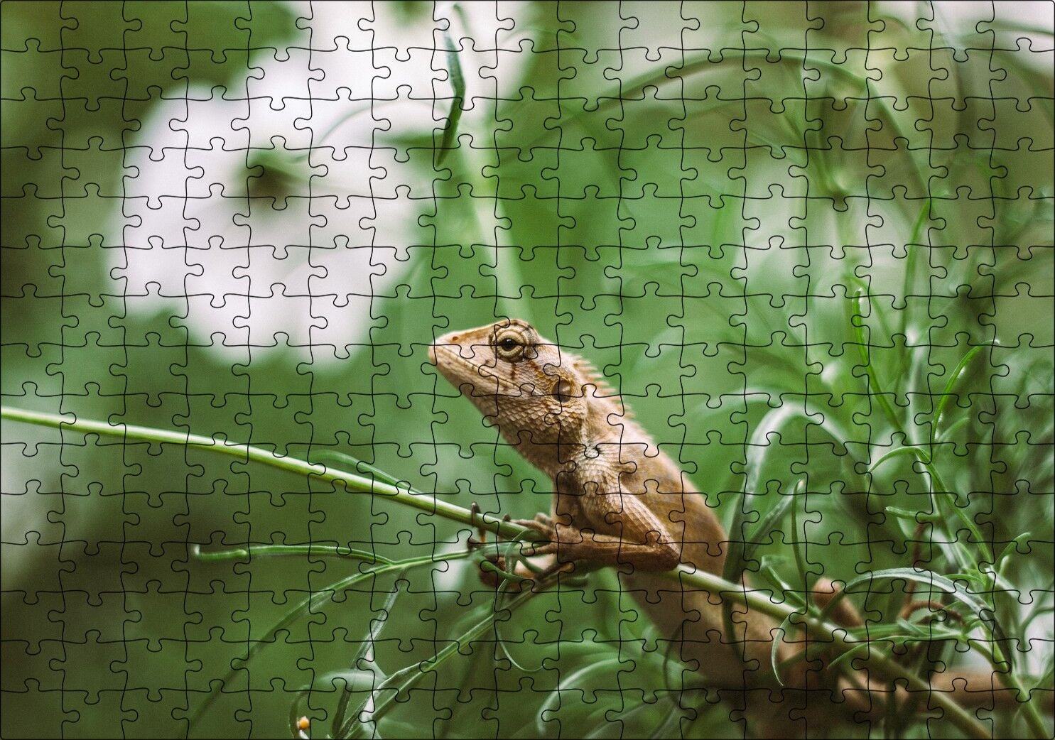 Yeşil Dallar Arasındaki İguana Flu Arka Plan Puzzle Yapboz MDF Ahşap 255 Parça 34 cm X 49 cm