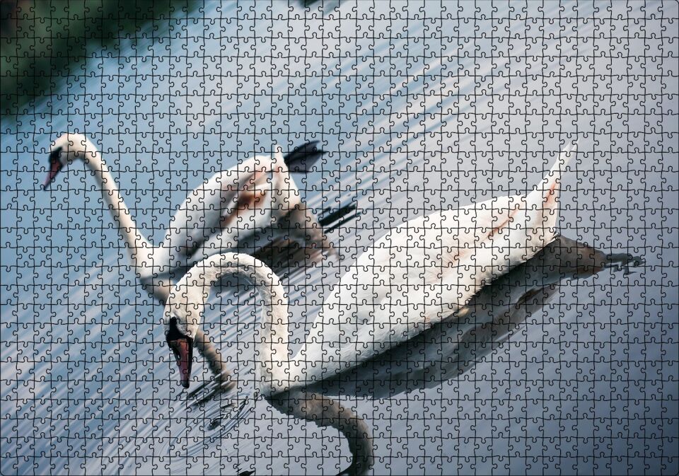 Fırtına Çocuk ve Pelikan Puzzle Yapboz MDF Ahşap 1000 Parça 49 cm X 68 cm