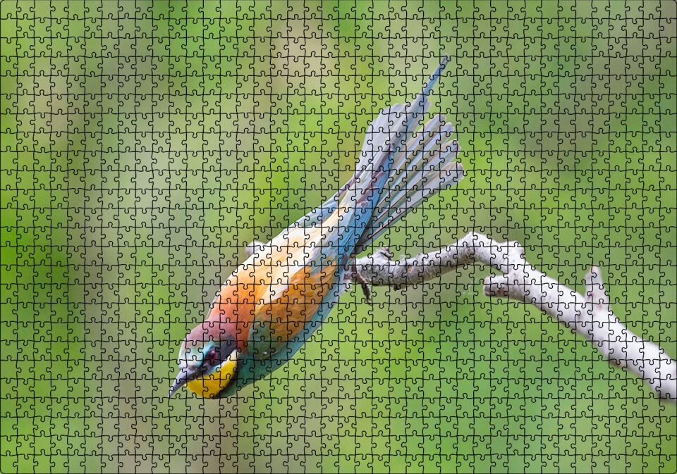 Daldan Ayrılmak Üzere Olan Rengarenk Kuş Puzzle Yapboz MDF Ahşap 1000 Parça 49 cm X 68 cm
