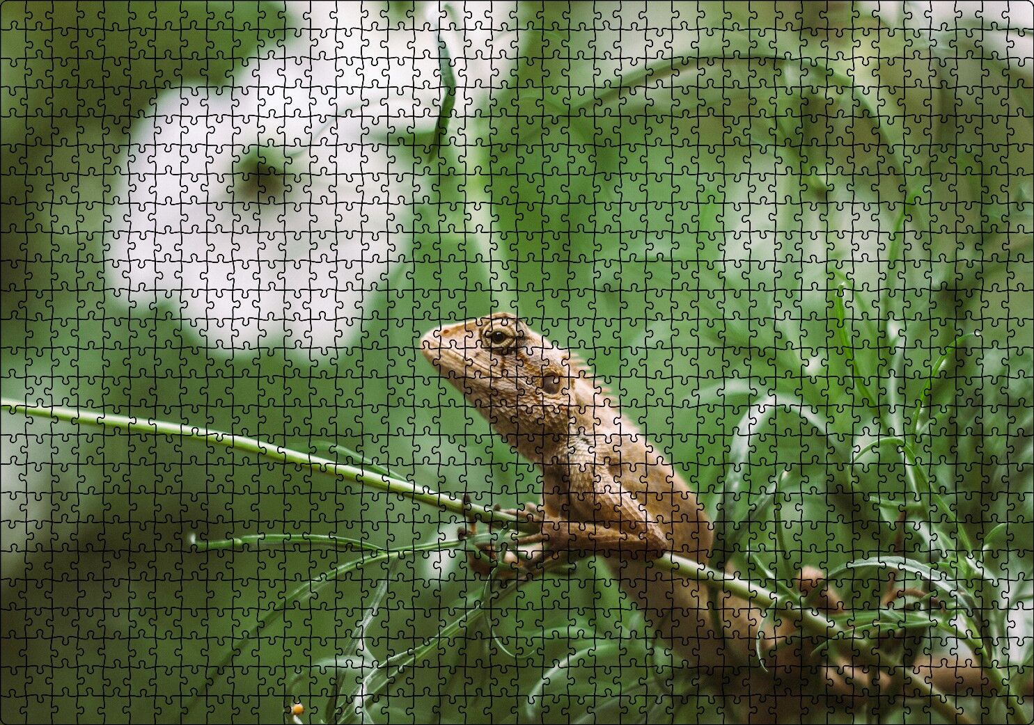 Yeşil Dallar Arasındaki İguana Flu Arka Plan Puzzle Yapboz MDF Ahşap 1000 Parça 49 cm X 68 cm