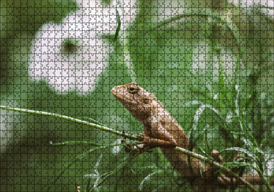 Yeşil Dallar Arasındaki İguana Flu Arka Plan Puzzle Yapboz MDF Ahşap 1000 Parça 49 cm X 68 cm