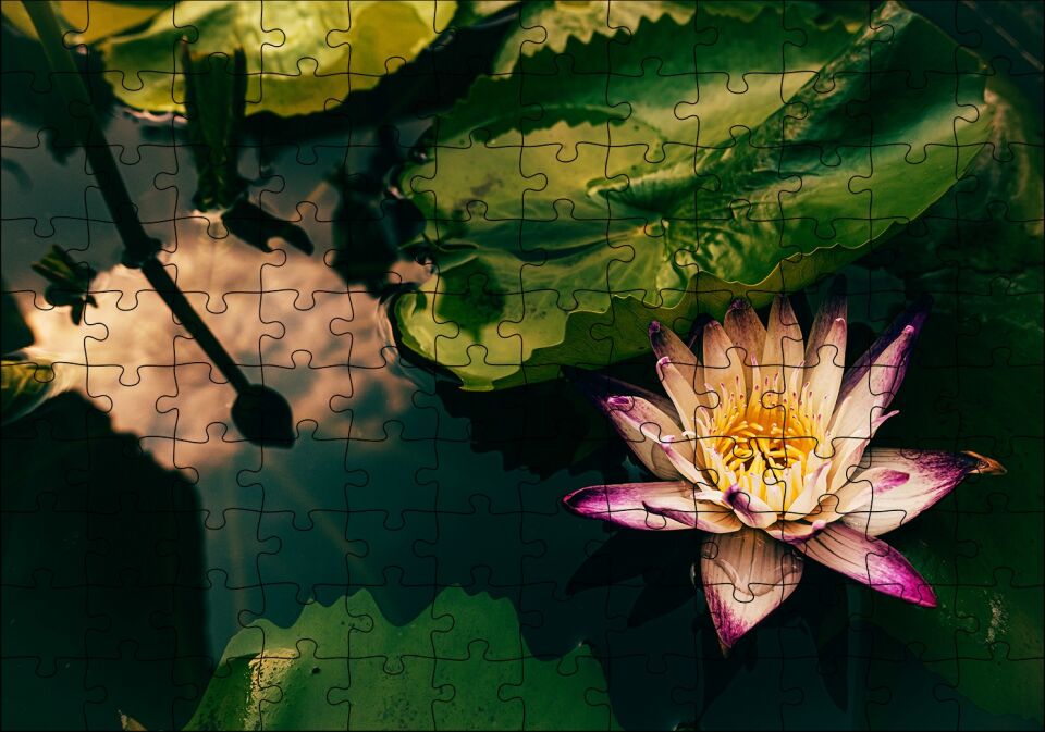 Yıldız Lotus Çiçeği Görseli Puzzle Yapboz MDF Ahşap