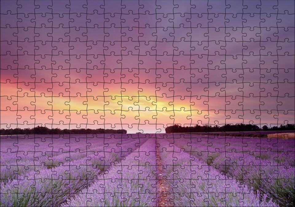 Günbatımında Lavanta Tarlaları ve Kızıl Gökler Puzzle Yapboz MDF Ahşap 255 Parça 34 cm X 49 cm