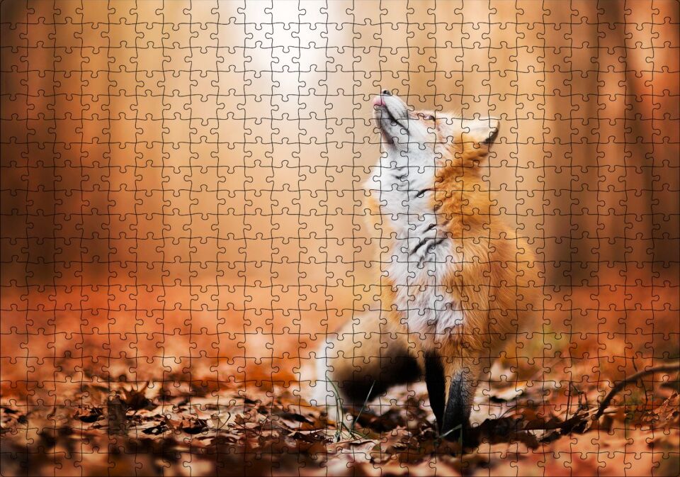 Orman Zemininde Yapraklar ve Yukarı Bakan Tilki Puzzle Yapboz MDF Ahşap 500 Parça 49 cm X 68 cm