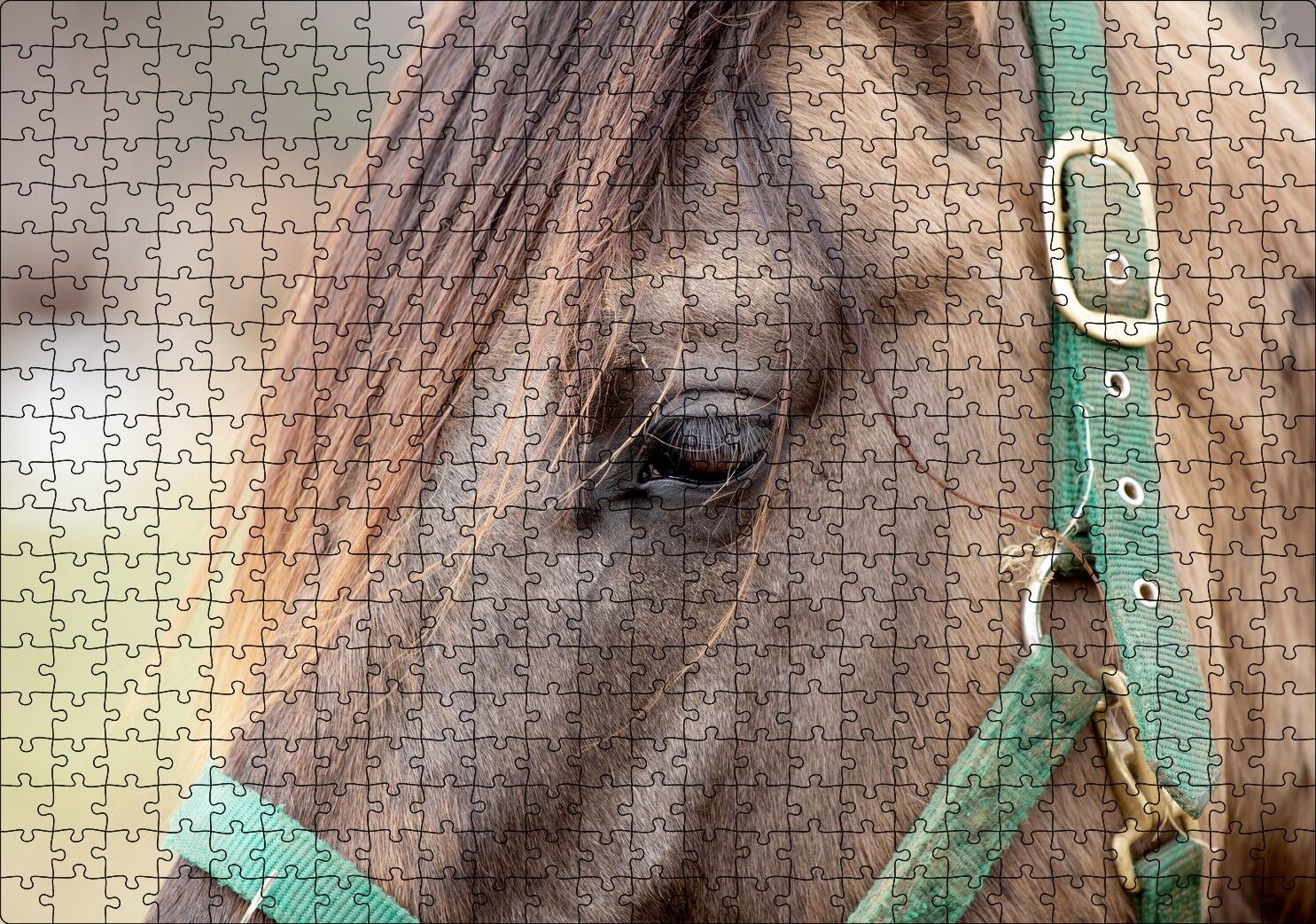 Yeşil Koşumlu Kahverengi At Yakın Çekim Puzzle Yapboz MDF Ahşap 500 Parça 49 cm X 68 cm