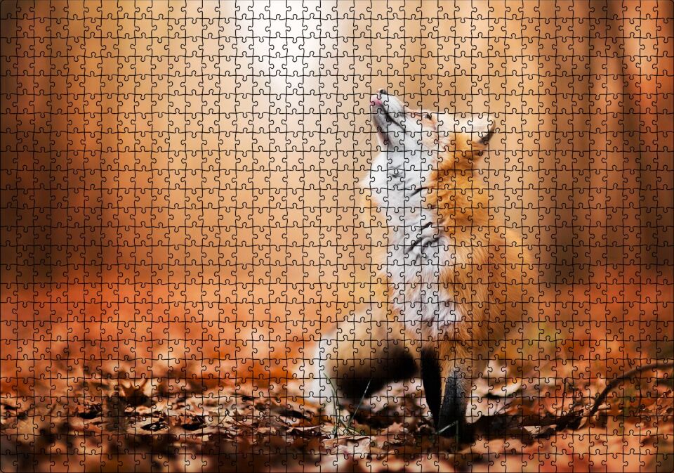 Orman Zemininde Yapraklar ve Yukarı Bakan Tilki Puzzle Yapboz MDF Ahşap 1000 Parça 49 cm X 68 cm