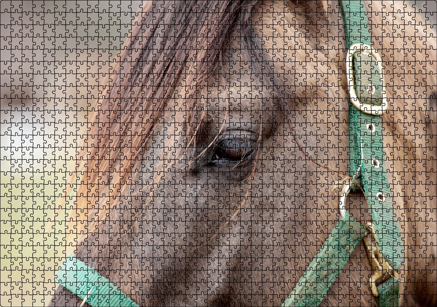 Yeşil Koşumlu Kahverengi At Yakın Çekim Puzzle Yapboz MDF Ahşap 1000 Parça 49 cm X 68 cm