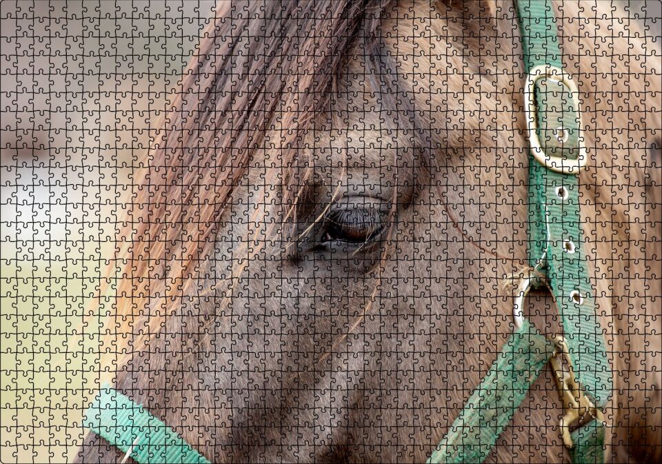 Yeşil Koşumlu Kahverengi At Yakın Çekim Puzzle Yapboz MDF Ahşap 1000 Parça 49 cm X 68 cm