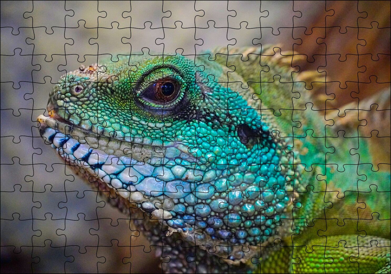 Yeşil Mavi Renkleriyle Kertenkele Yakın Çekim Puzzle Yapboz MDF Ahşap 120 Parça 24 cm X 34 cm