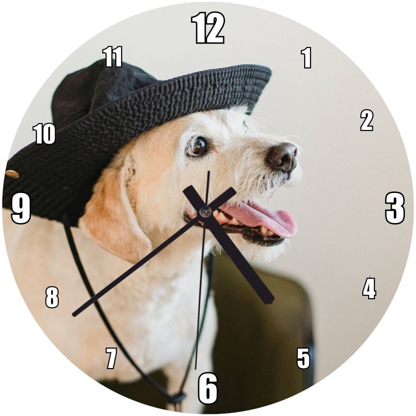 Siyah Şapkalı Sevimli Köpek Mdf Ahşap Duvar Saati 30 cm Çap