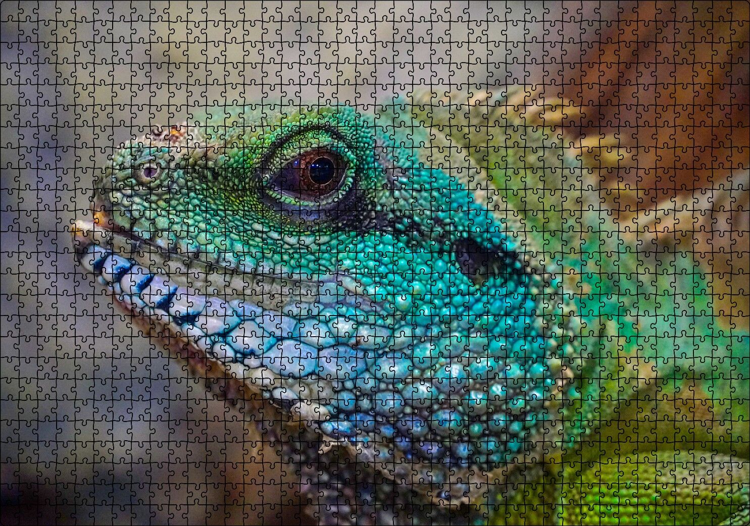 Yeşil Mavi Renkleriyle Kertenkele Yakın Çekim Puzzle Yapboz MDF Ahşap 1000 Parça 49 cm X 68 cm