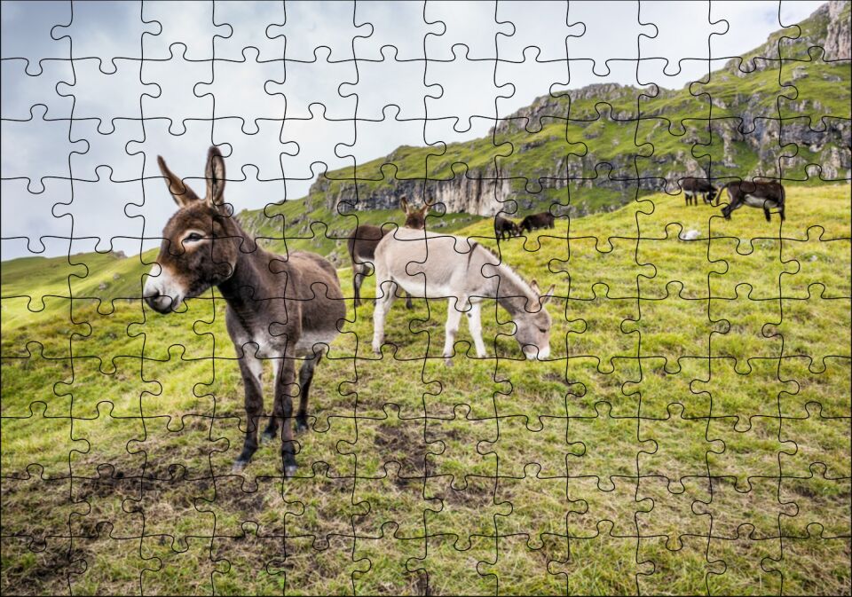 Yeşil Tepelerde Otlayan Eşekler Puzzle Yapboz MDF Ahşap 120 Parça 24 cm X 34 cm