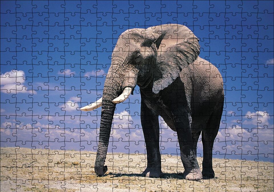 Yalnız Fil Puzzle Yapboz MDF Ahşap 255 Parça 34 cm X 49 cm