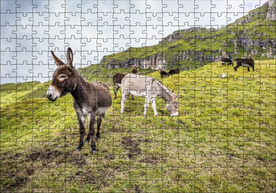 Yeşil Tepelerde Otlayan Eşekler Puzzle Yapboz MDF Ahşap 255 Parça 34 cm X 49 cm