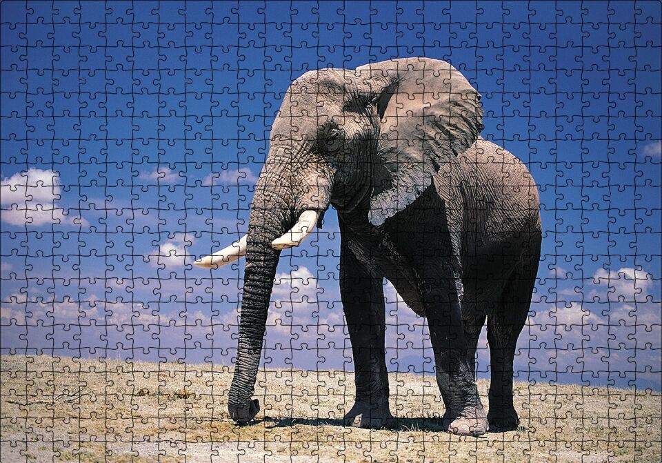 Yalnız Fil Puzzle Yapboz MDF Ahşap 500 Parça 49 cm X 68 cm