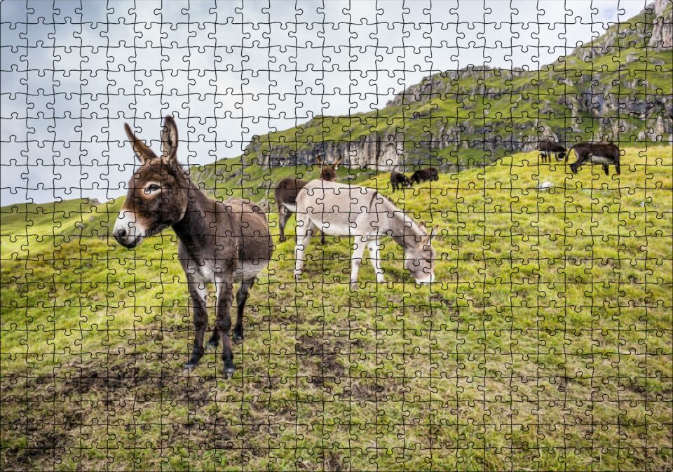 Yeşil Tepelerde Otlayan Eşekler Puzzle Yapboz MDF Ahşap 500 Parça 49 cm X 68 cm