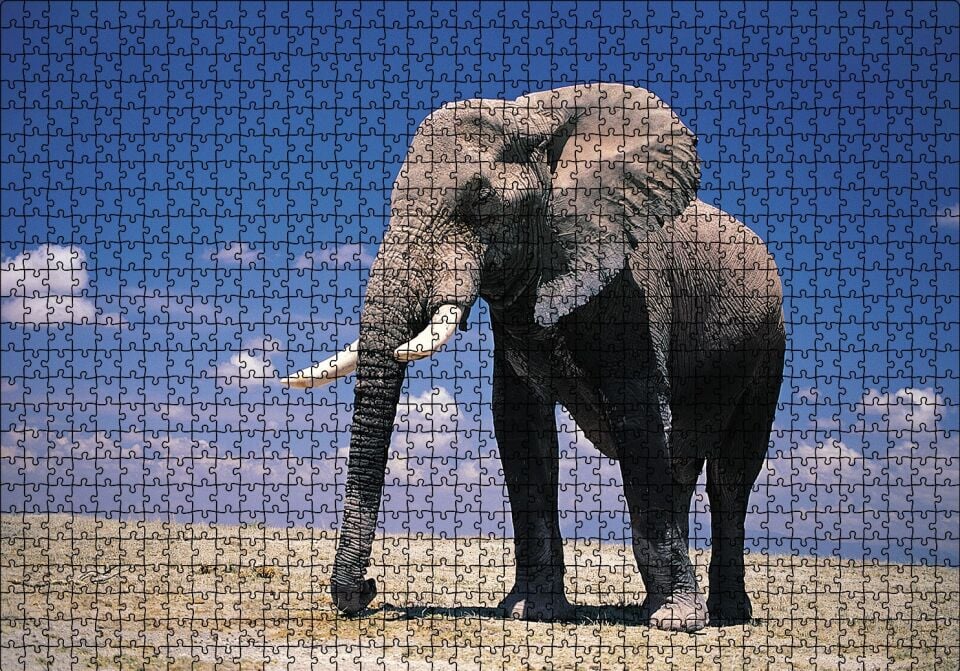 Yalnız Fil Puzzle Yapboz MDF Ahşap 1000 Parça 49 cm X 68 cm