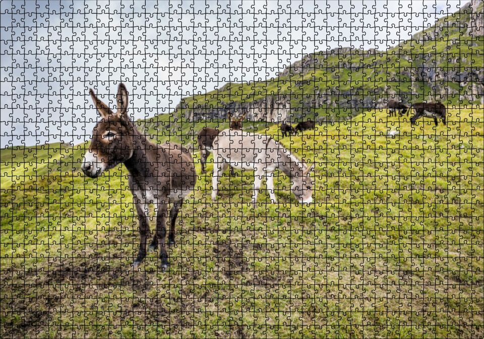 Yeşil Tepelerde Otlayan Eşekler Puzzle Yapboz MDF Ahşap 1000 Parça 49 cm X 68 cm