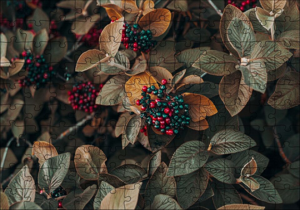 Kadife Yeşili Yapraklar ve Kırmızı ve Yeşil Meyveler Puzzle Yapboz MDF Ahşap 120 Parça 24 cm X 34 cm