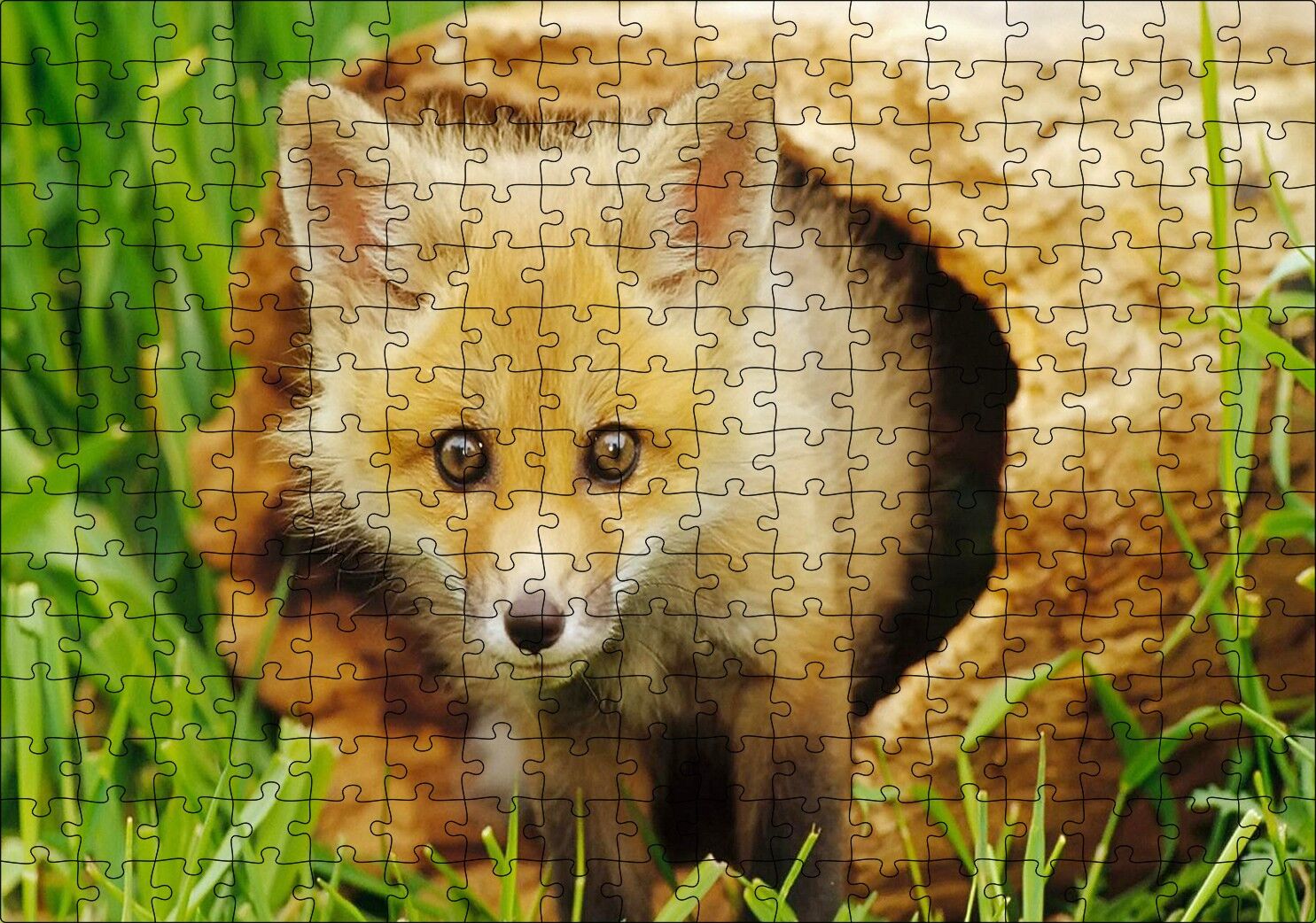 Ormanda Kütüğün İçinden Çıkan Meraklı Yavru Tilki Puzzle Yapboz MDF Ahşap 255 Parça 34 cm X 49 cm