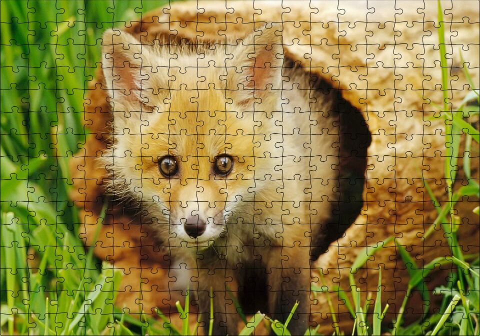 Ormanda Kütüğün İçinden Çıkan Meraklı Yavru Tilki Puzzle Yapboz MDF Ahşap 255 Parça 34 cm X 49 cm