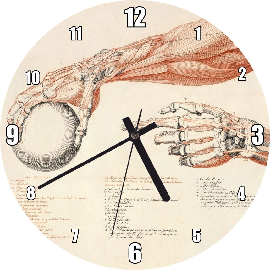 İnsan Anatomisi El Kol Görseli Mdf Ahşap Duvar Saati 30 cm Çap