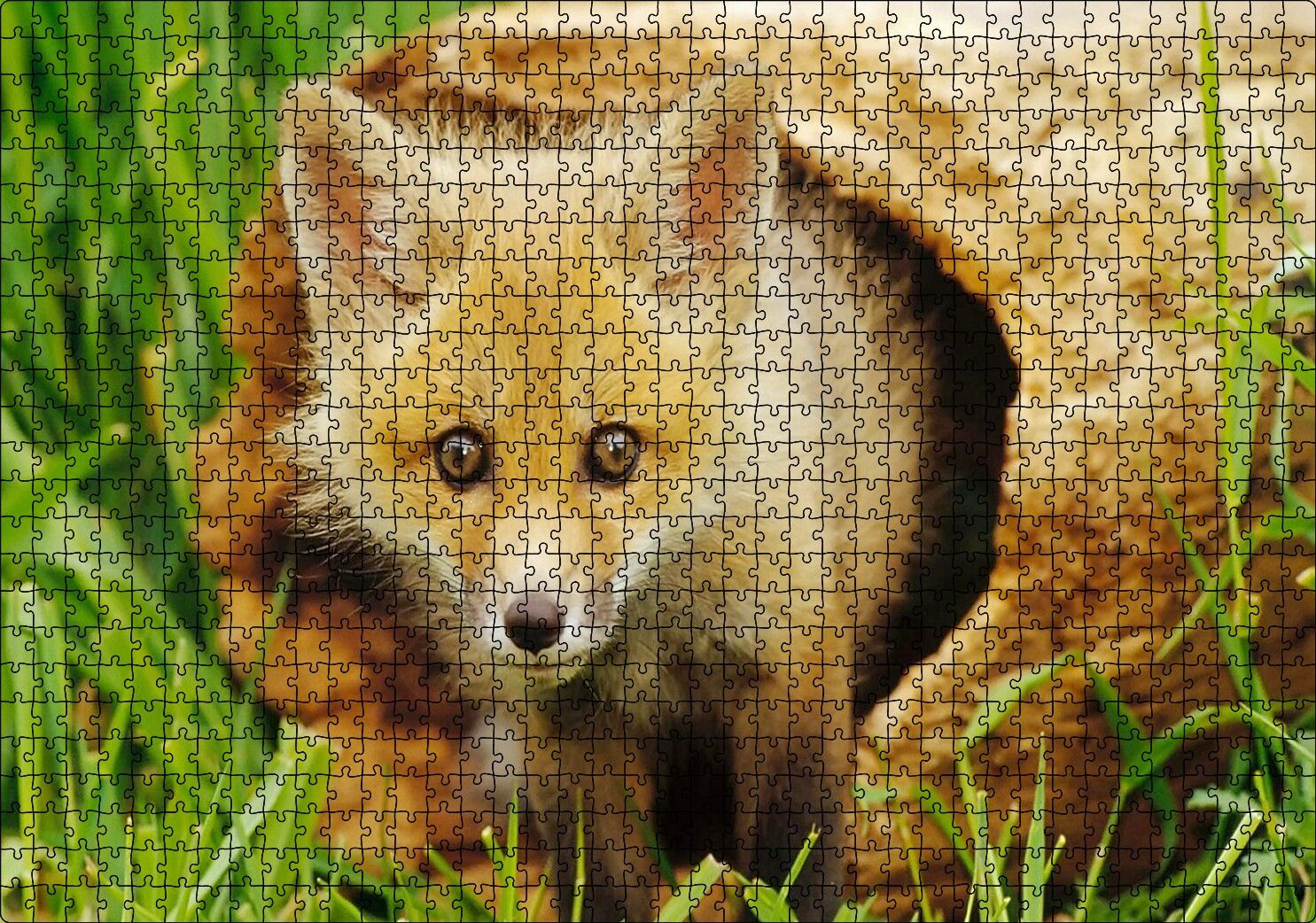 Ormanda Kütüğün İçinden Çıkan Meraklı Yavru Tilki Puzzle Yapboz MDF Ahşap 1000 Parça 49 cm X 68 cm