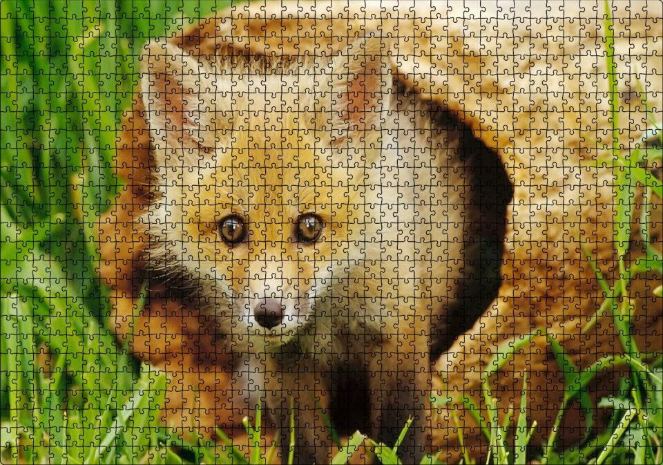 Ormanda Kütüğün İçinden Çıkan Meraklı Yavru Tilki Puzzle Yapboz MDF Ahşap 1000 Parça 49 cm X 68 cm