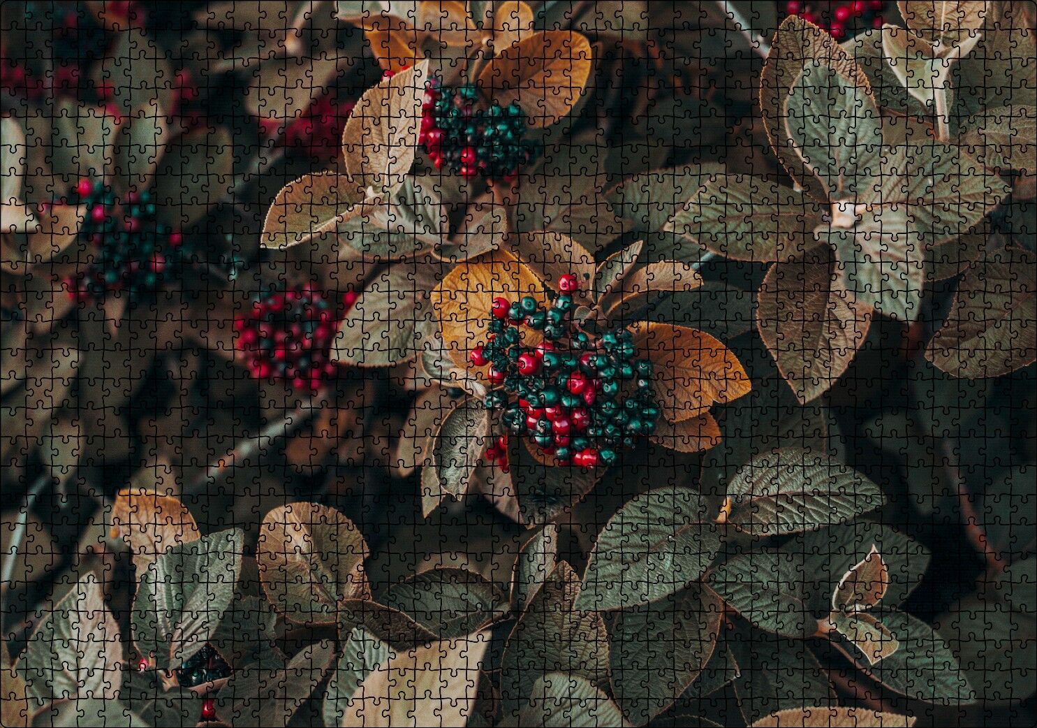 Kadife Yeşili Yapraklar ve Kırmızı ve Yeşil Meyveler Puzzle Yapboz MDF Ahşap 1000 Parça 49 cm X 68 cm