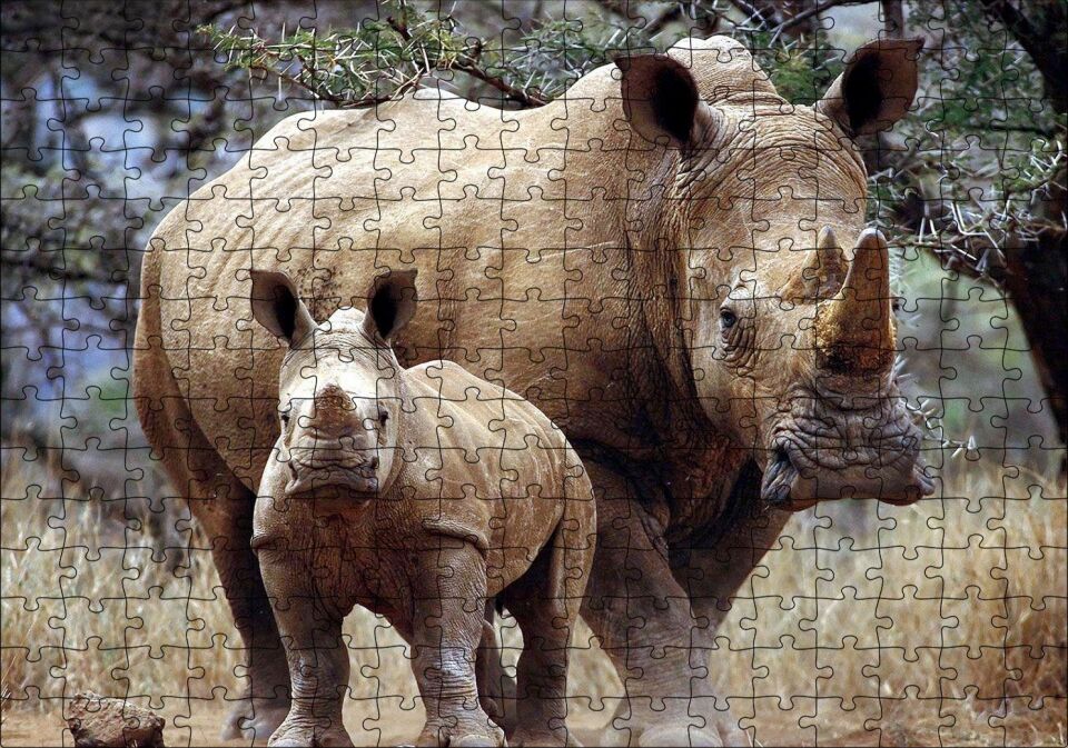 Dev Anne Gergedan ve Sevimli Yavrusu Puzzle Yapboz MDF Ahşap 255 Parça 34 cm X 49 cm