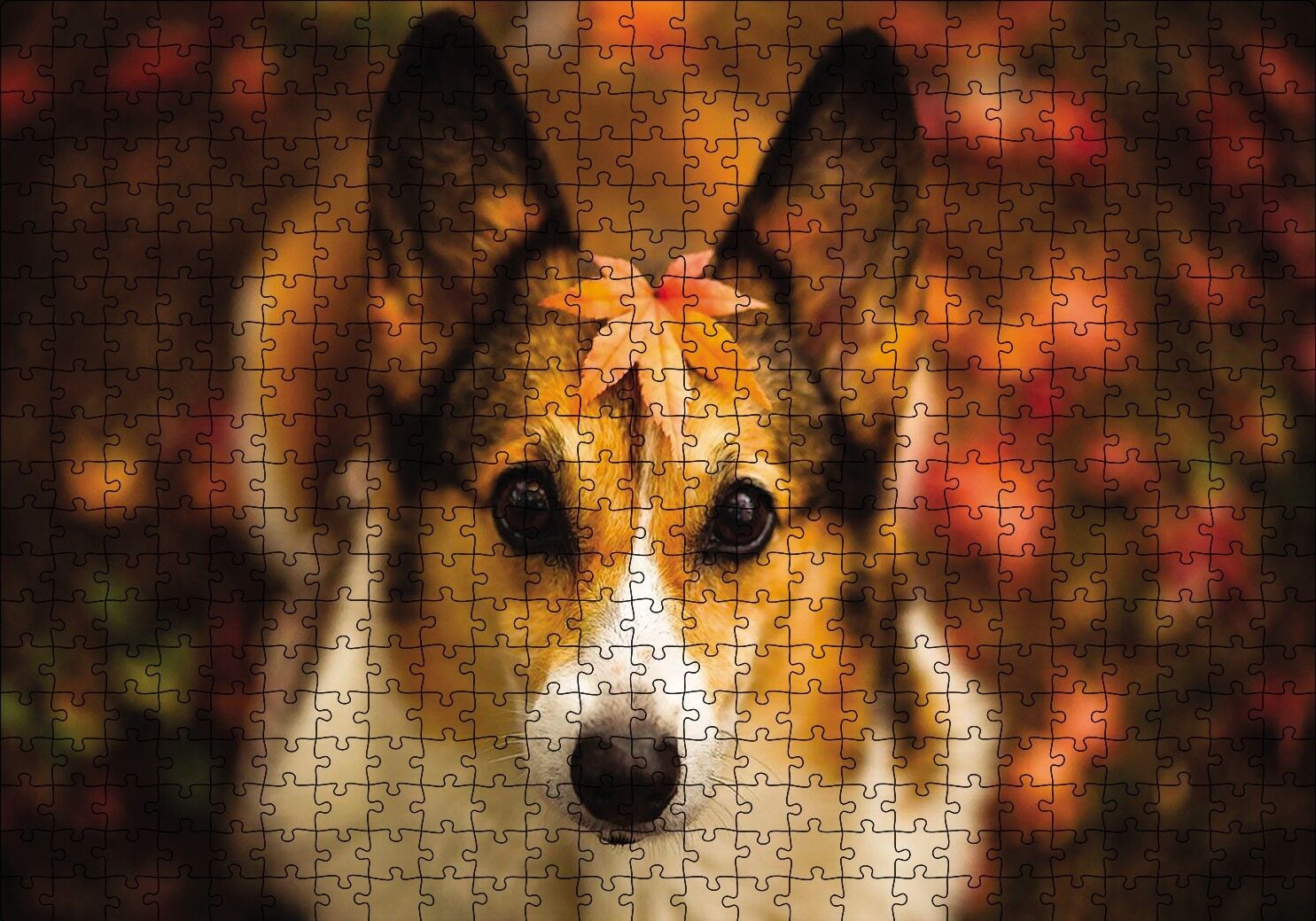 Ormanda Yapraklı Köpek Puzzle Yapboz MDF Ahşap 500 Parça 49 cm X 68 cm