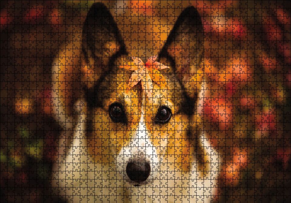 Ormanda Yapraklı Köpek Puzzle Yapboz MDF Ahşap 1000 Parça 49 cm X 68 cm