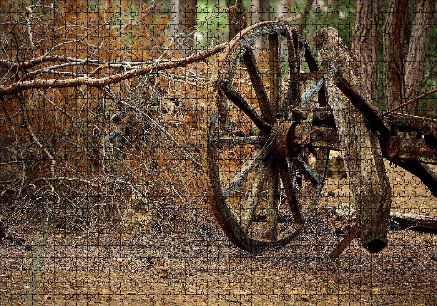 Ormanda Eski At Arabası Tekerleği Puzzle Yapboz MDF Ahşap 1000 Parça 49 cm X 68 cm