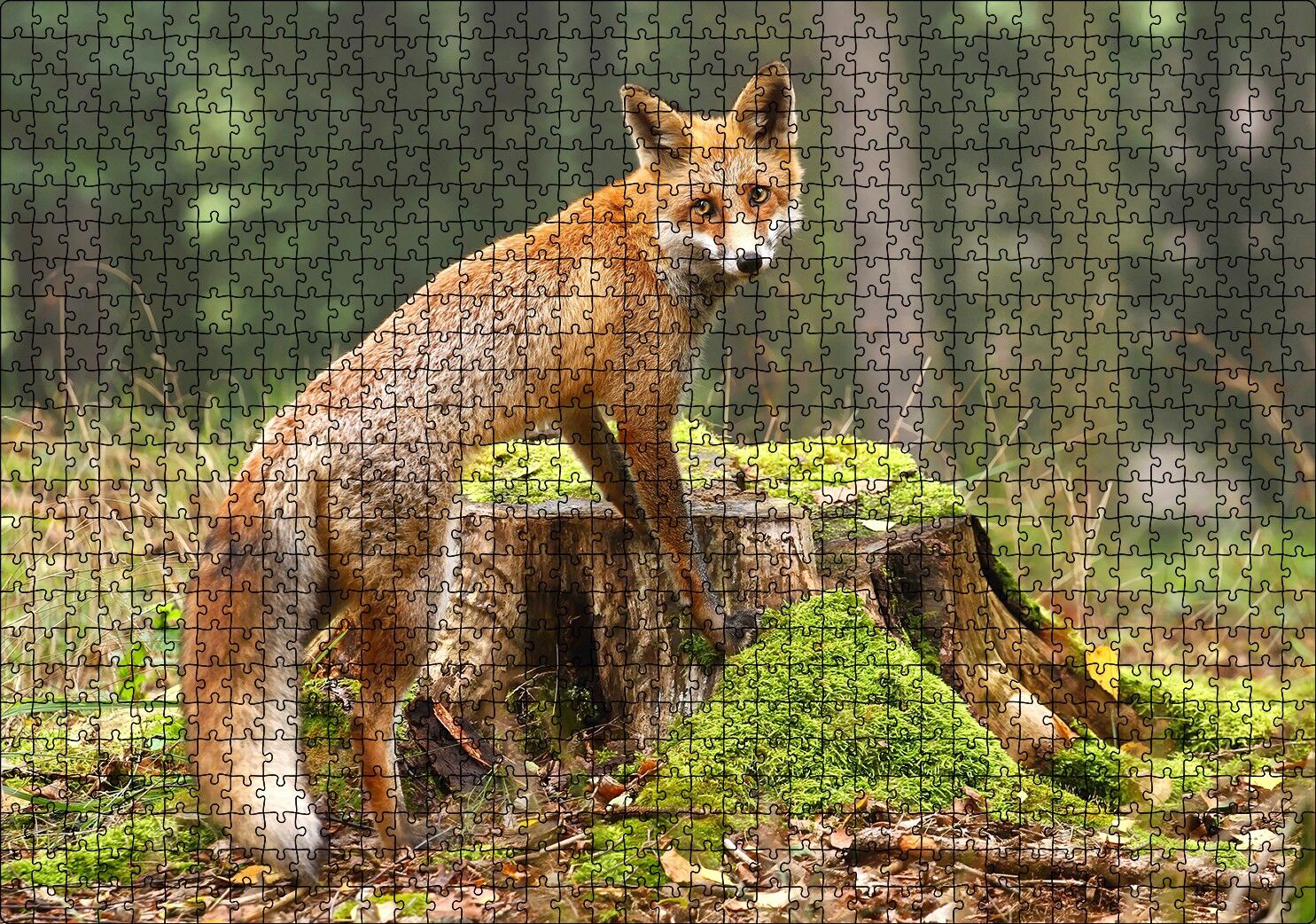 Ormanda Kütük Üzerindeki Çelimsiz Tilki Puzzle Yapboz MDF Ahşap 1000 Parça 49 cm X 68 cm
