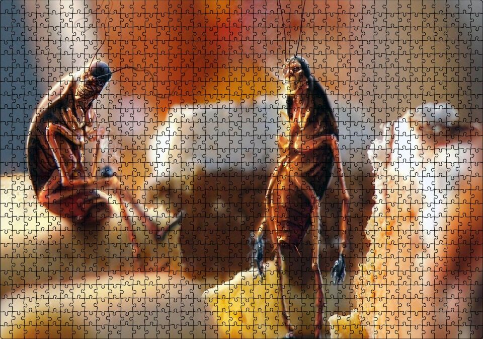 Hamam Böceklerinin Muffin Keyfi Puzzle Yapboz MDF Ahşap 1000 Parça 49 cm X 68 cm