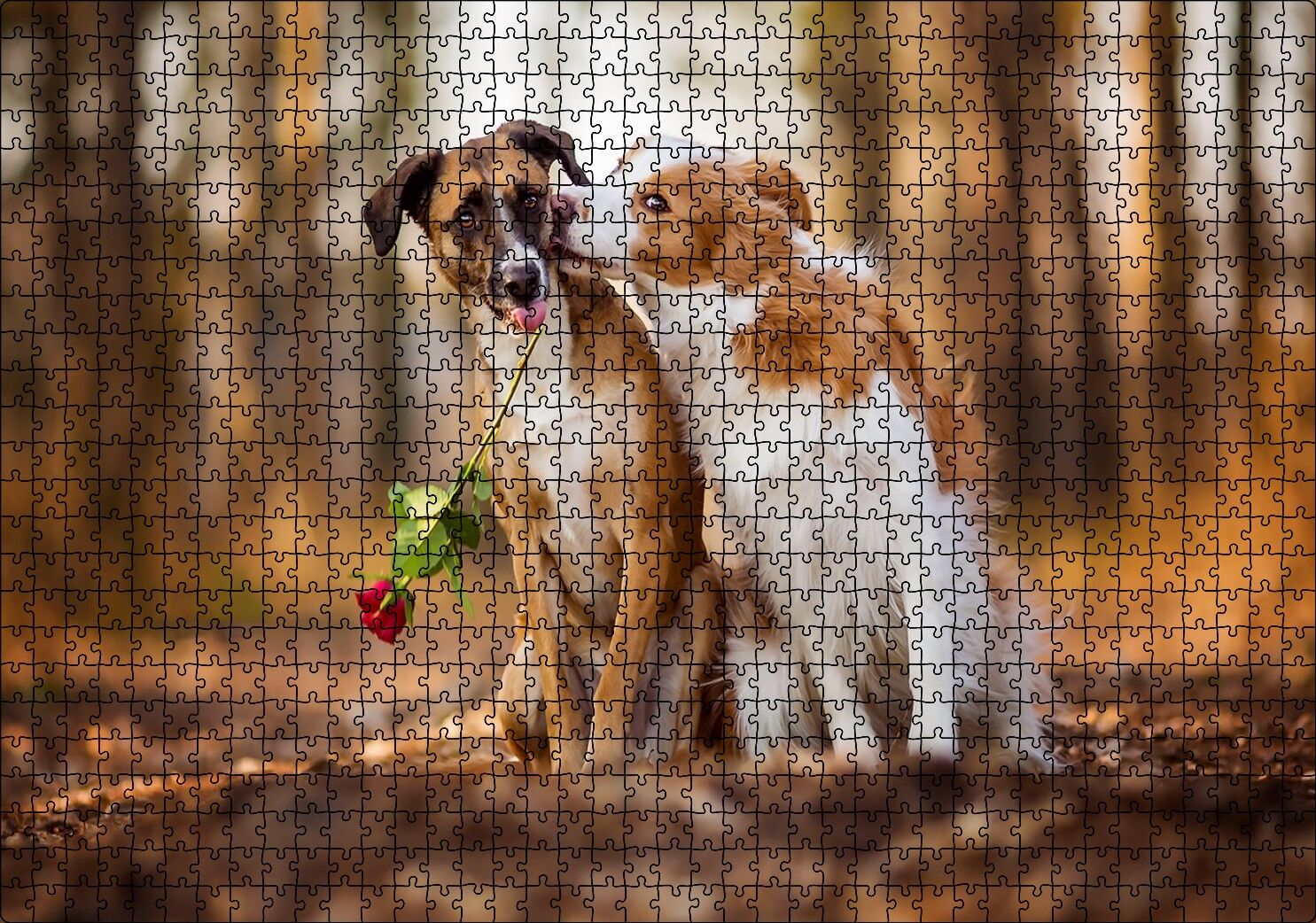 Kahverengi Beyaz Aşık Köpekler Puzzle Yapboz MDF Ahşap 1000 Parça 49 cm X 68 cm