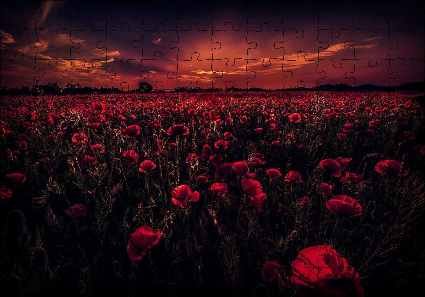 Günbatımı Gelincik Tarlası ve Kızıl Gökler Puzzle Yapboz MDF Ahşap 120 Parça 24 cm X 34 cm