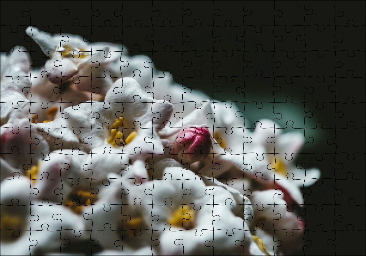 Beyaz Çiçeklerin Arasındaki Asi Pembe Puzzle Yapboz MDF Ahşap