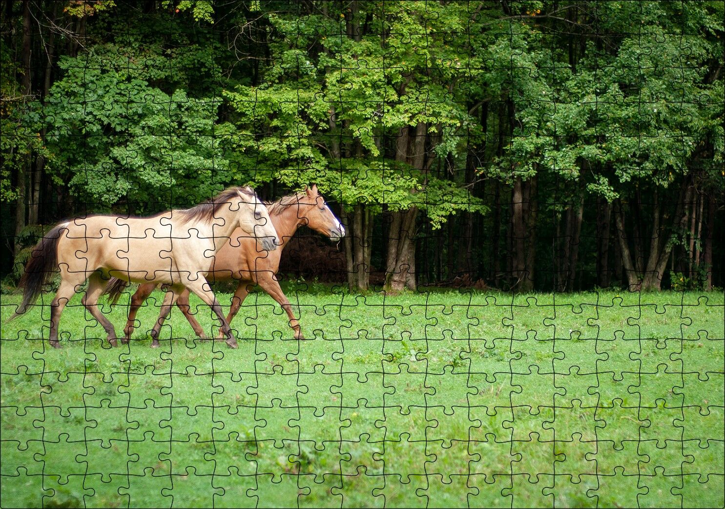 Orman Yeşil Çayırlar ve Bir Çift At Puzzle Yapboz MDF Ahşap 255 Parça 34 cm X 49 cm